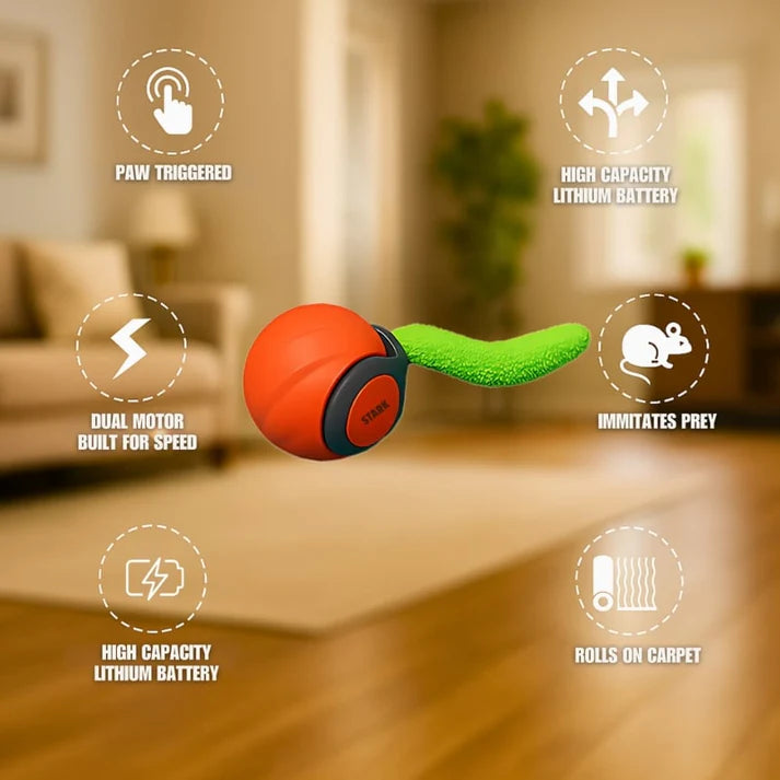 StarkBall – Smart Motion Toy for Active Cats