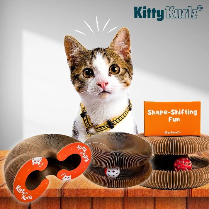 KittyKurlz – Interactive Spiral Toy for Cats