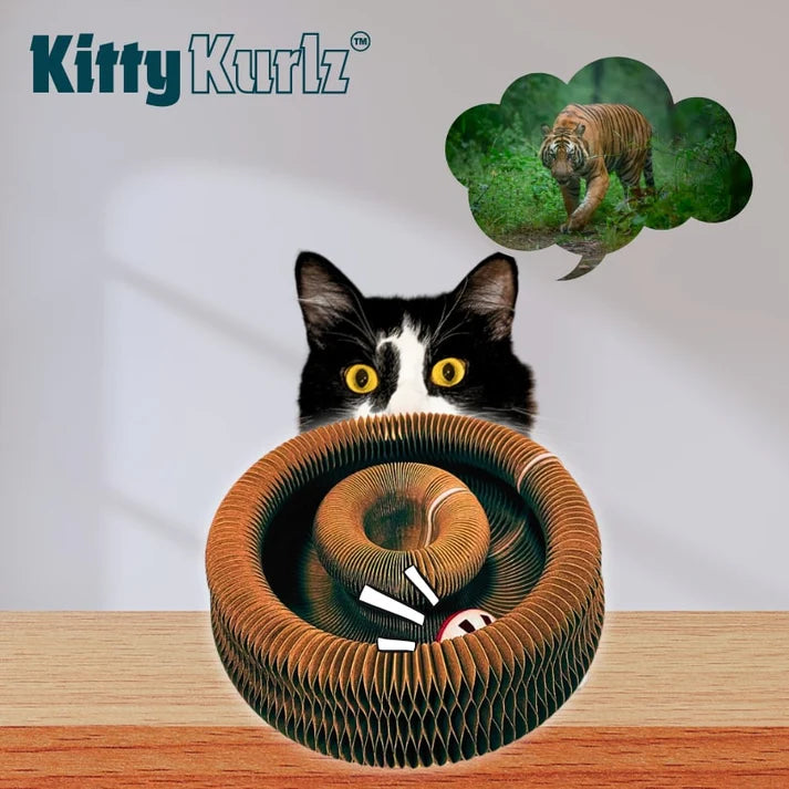 KittyKurlz – Interactive Spiral Toy for Cats