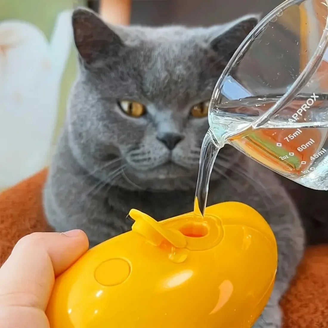 MistPaw – One-Click Spray Grooming Brush