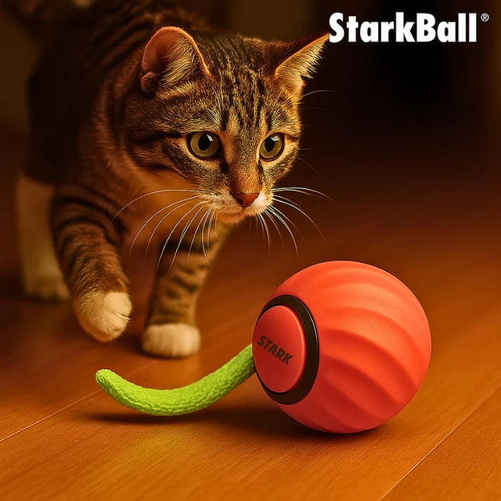 StarkBall – Smart Motion Toy for Active Cats