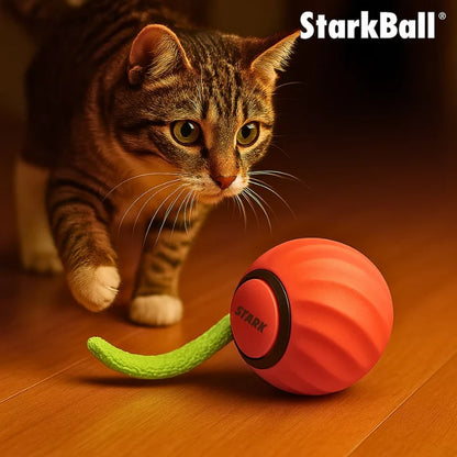 StarkBall – Smart Motion Toy for Active Cats