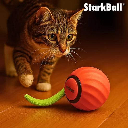 StarkBall – Smart Motion Toy for Active Cats